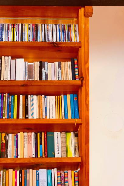 istock Colorful book shelves packed with books 917739206