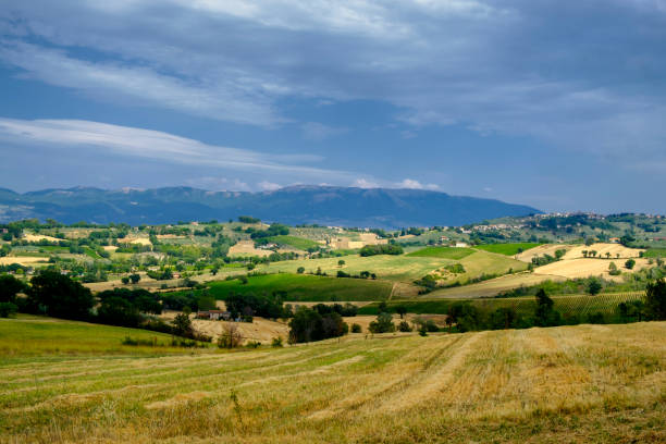 istock Landscape in Umbria at summer 917742118