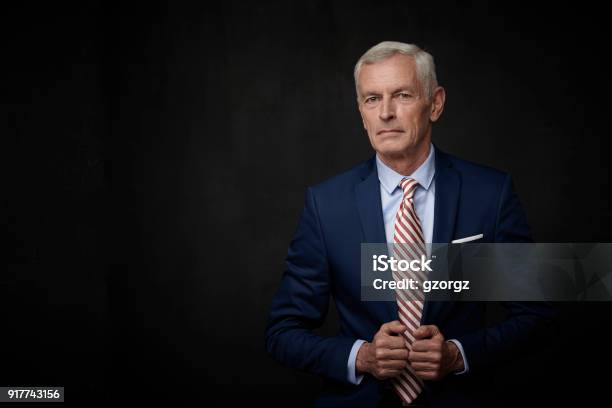 Senior Businessman Portrait Stock Photo - Download Image Now - Lawyer, Businessman, Portrait