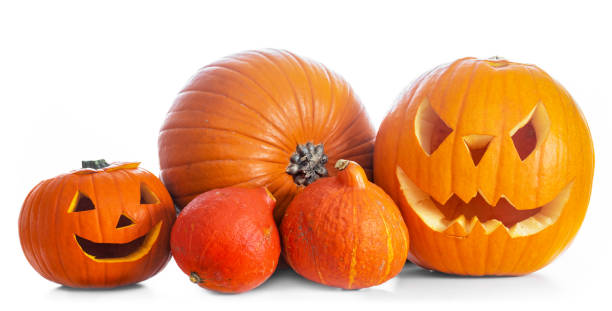 istock Halloween pumpkins, jack-o-lantern isolated on white 917744064