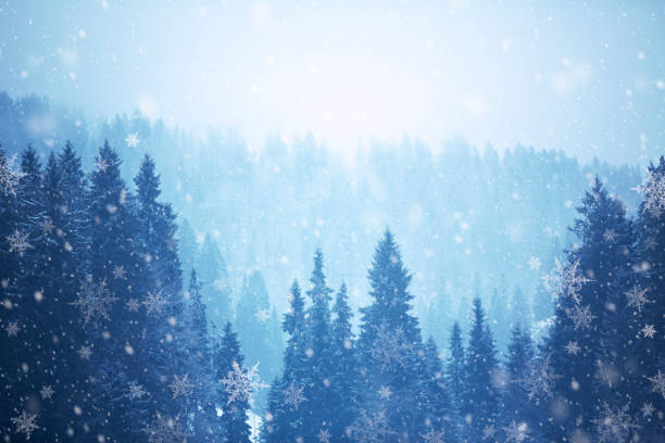 istock Winter mountain landscape with coniferous trees and snow fall 917750094