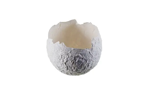 Photo of Paper mache. Broken dinosaur egg.