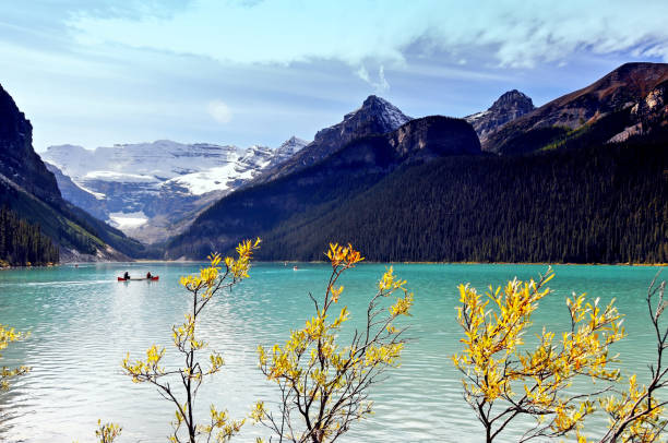 Unrecognizable people are canoeing on the beautiful turquoise colored Lake Louise , surrounded by mountains, glaciers  and forests,on a sunny day in September.
