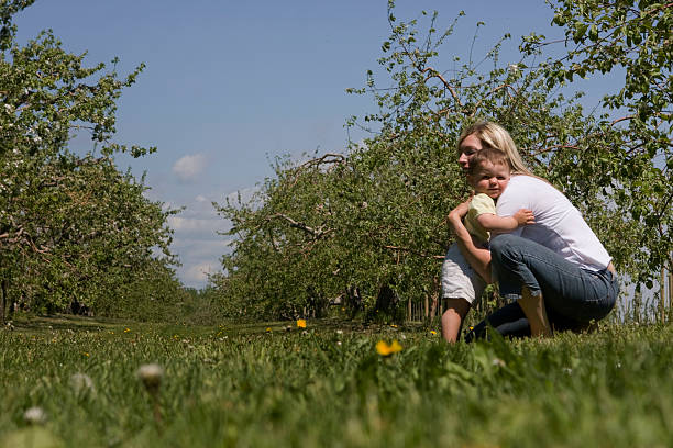 Mom holding her son stock photo