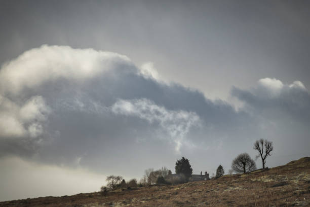 istock Winter Rural Hill landscape 917762124