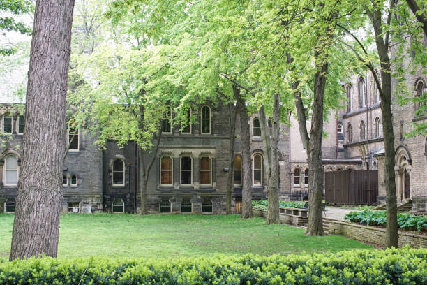 istock lush green beautiful nature courtyard 917763216