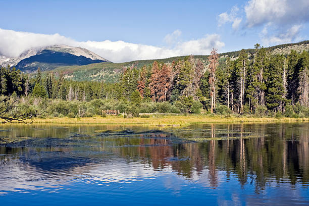 istock Lake in Rocky Mountain 91776695