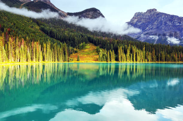 Beautiful  landscape reflected in a turquoise colored  Emerald Lake, surrounded by forests and mountains,  located in Yoho National Park,British Columbia.