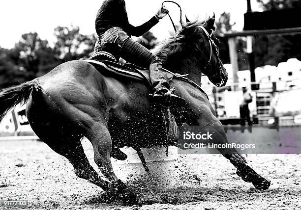 Rodeo Barrel Racing Closeup Stock Photo - Download Image Now - Rodeo, Horse, Cowboy
