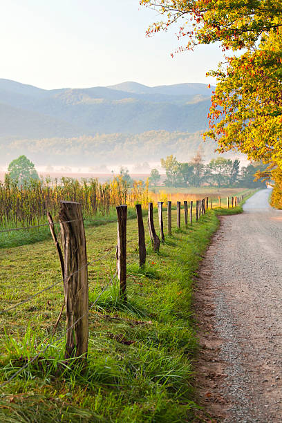 istock Morning Light On Country Road 91777105