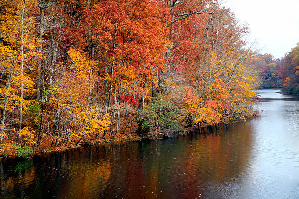 istock Duck River near Manchester Tennessee 91777427