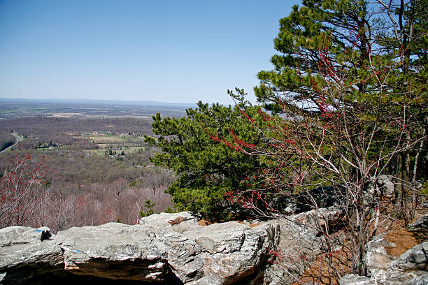 istock Shenandoah Valley on the Appalachain Trail 91777434