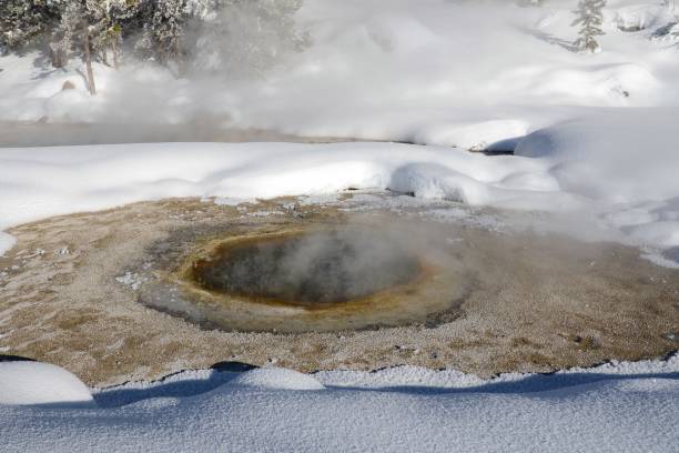 istock Beauty Pool Hot Spring in the Upper Geyser Basin 917778122
