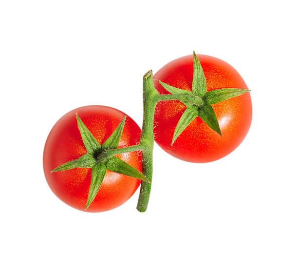 Tomatoes on white with clipping path stock photo