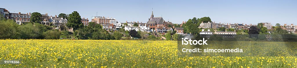 Panorama di Meadows e classico degli edifici della città di Chester - Foto stock royalty-free di Chester - Inghilterra