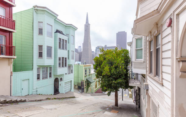 istock San Francisco Downtown, California, USA 917798778