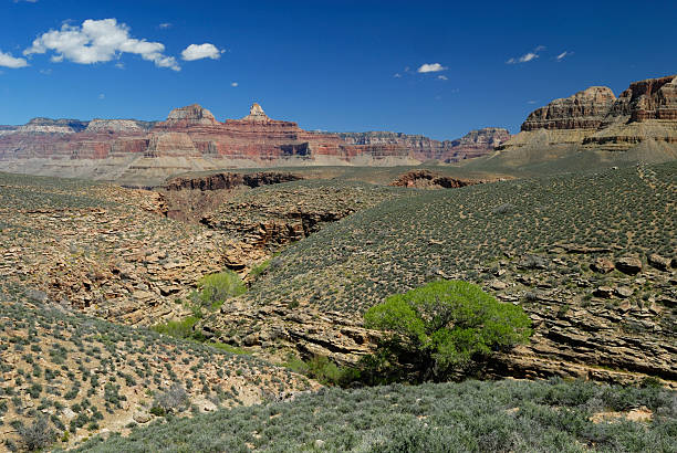 istock Dry plateau in Grand Canyon 91780720