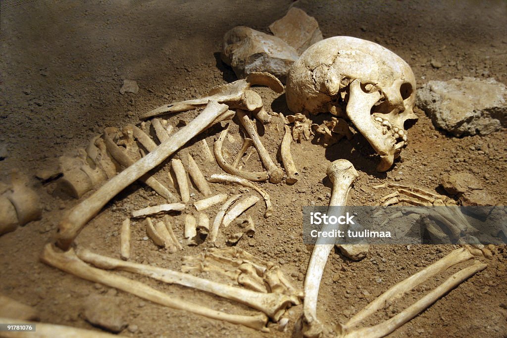 人骨 - 骸骨のロイヤリティフリーストックフォト