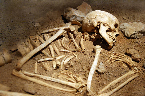 human bones of someone curled in a grave