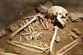 Close-up of human remains in soil