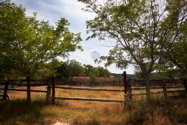 istock Los Ports Natural Park 917812374