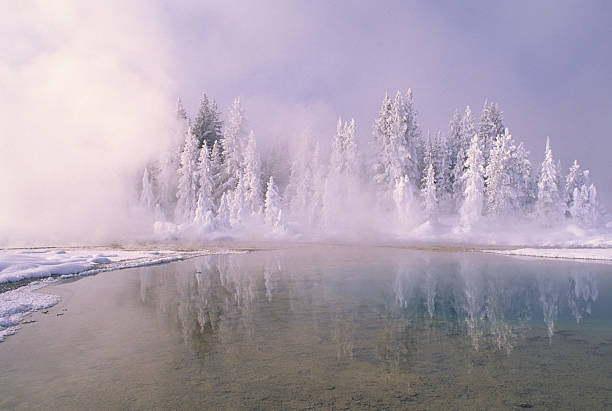 istock Snow Covered Spruce near Pond 91781747