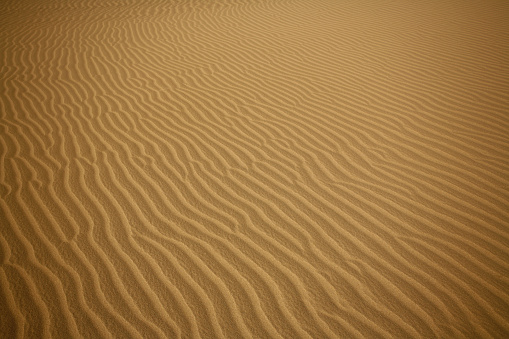 Sand waves, Sahara desert Tunisia