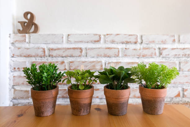 Four artificial plants in clay pot on wooden table with white brick wall textured background in room with copy space. Four artificial plants in clay pot on wooden table with white brick wall textured background in room with copy space. artificial flower stock pictures, royalty-free photos & images