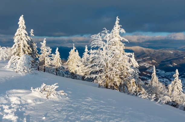 istock Winter evening mountain snowy landscape 917822946