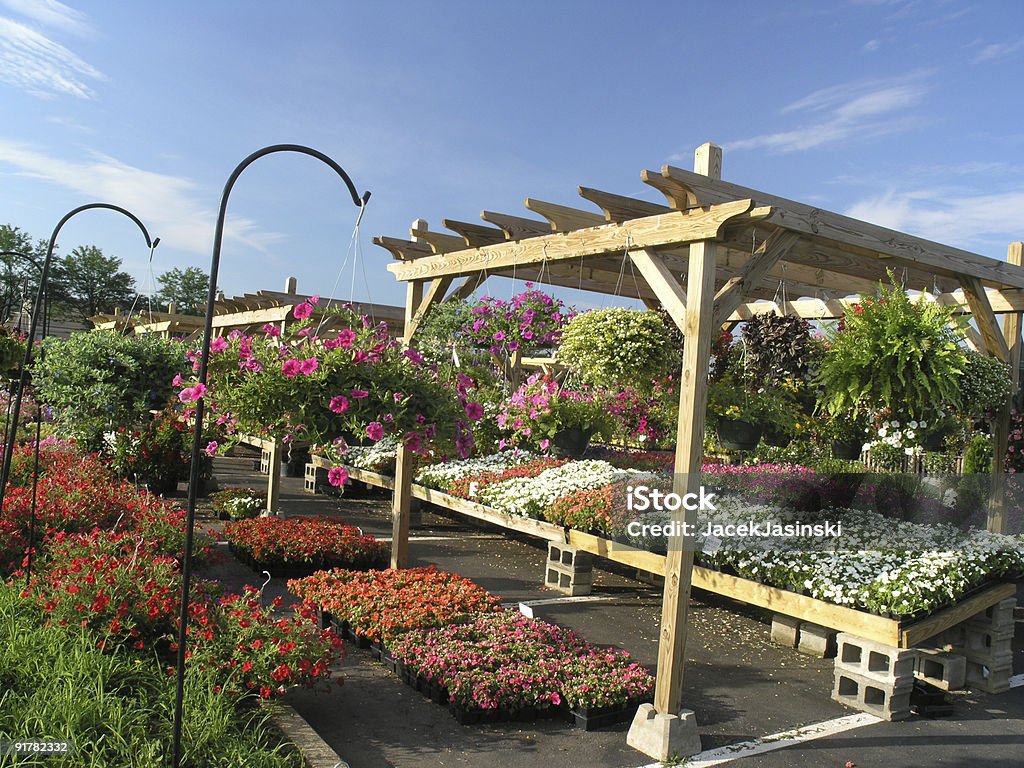 Mercado de flores - Foto de stock de Viveiro de Plantas royalty-free