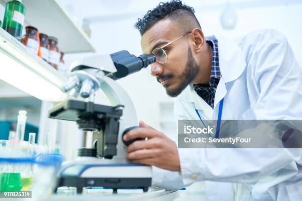 Scientist Using Microscope In Laboratory Stock Photo - Download Image Now - Laboratory, Microscope, Scientist