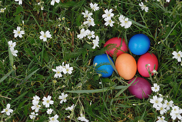 Eastereggs stock photo