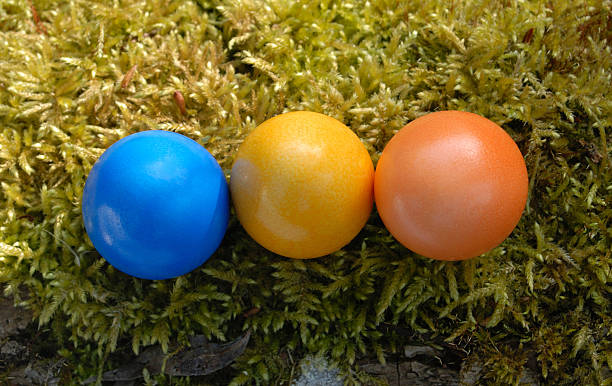 eastereggs in a row stock photo