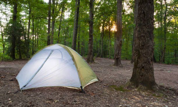 istock Tent pitched at a campsite in Uwharrie National Forest 917833390