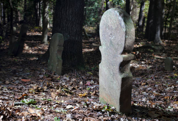 istock Marker at North Carolina's Old Scottish Cemetery 917833398
