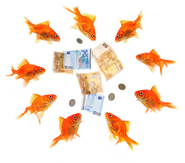 istock group of goldfish surrounding money 91783401