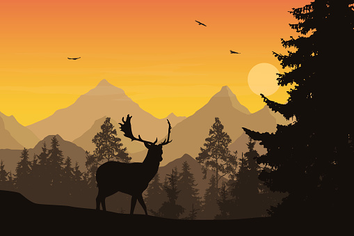 Vector illustration of mountain landscape with forest and deer under orange sky with clouds, sun and flying birds