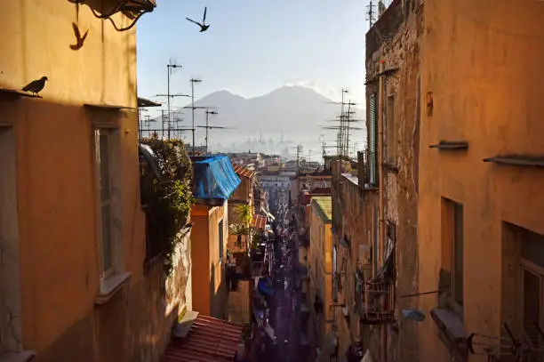 Vesuvius framed by a typical Neapolitan rooftop street scene with tv ariels and birds