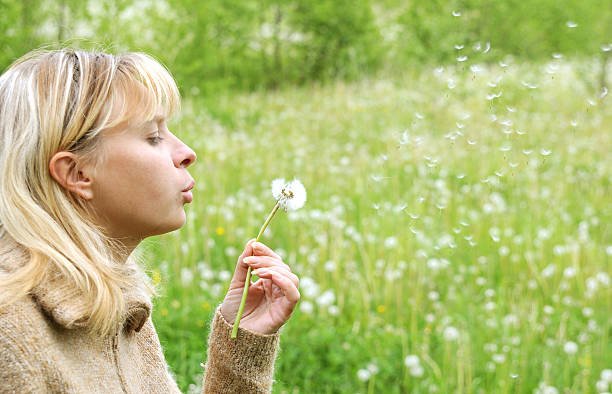 istock Girl blows on dandelion and thinks desire 91784118