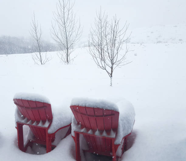 istock Looking Out To Lots Of Deep Snow 917844180