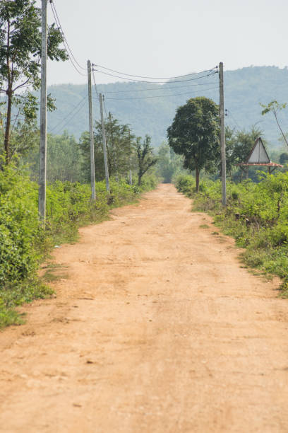 istock Dirt road and green grass side. 917844732