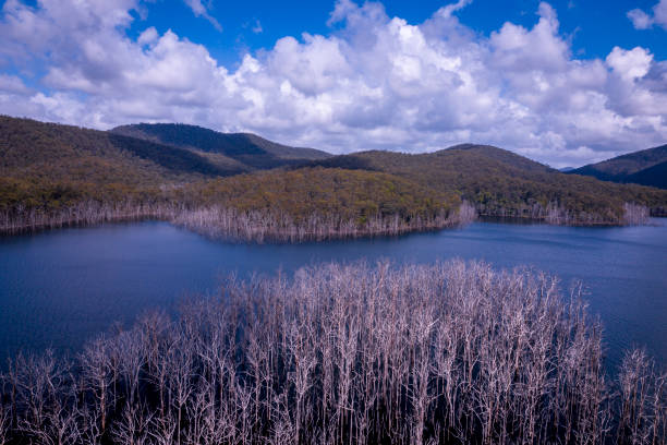 Aerial view on the river in Australia.