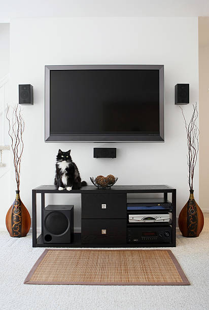 Family Pet Sitting on Home Theater System  cd player stock pictures, royalty-free photos & images