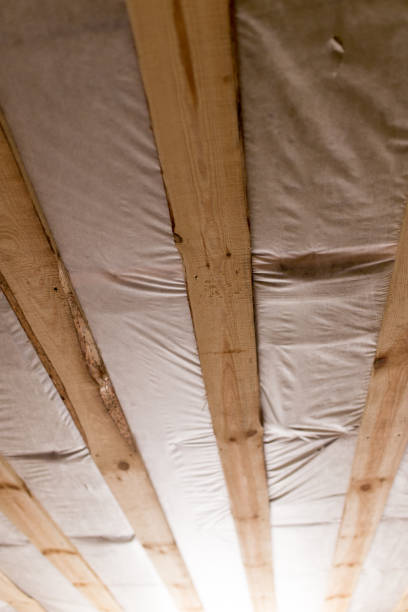 istock the wooden ceiling as background 917849938