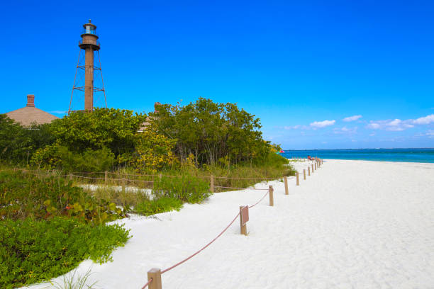 istock Beach Vacation Destination Sanibel Lighthouse 917853568