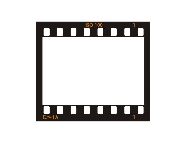 Film Roll On White Background Film roll on white background. Vector illustration. contact sheet stock illustrations