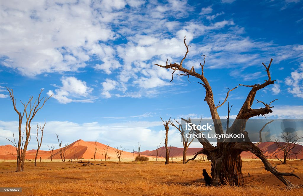 Duene 45 - Foto stock royalty-free di Africa