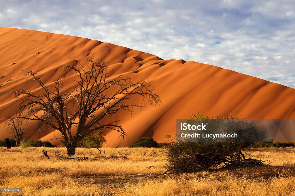 Duene - Lizenzfrei Afrika Stock-Foto