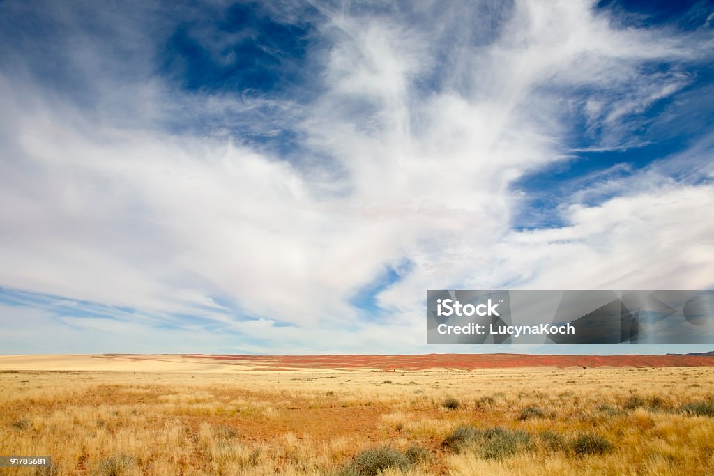 Namibrand - 南アフリカの草原のロイヤリティフリーストックフォト