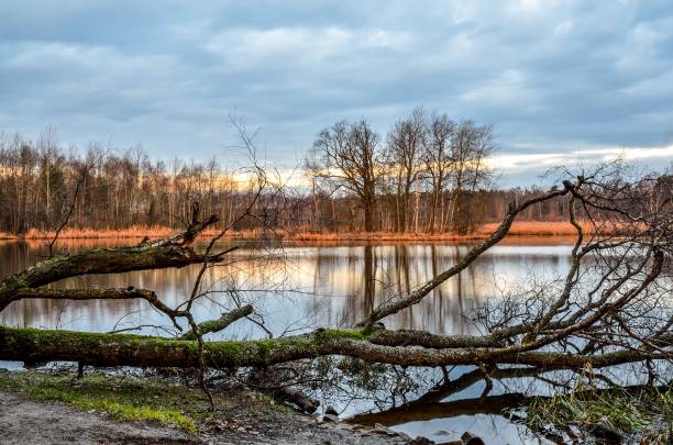 istock Beautiful colorful landscape. 917857320